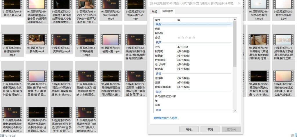 91呆哥
