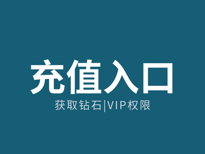 充值入口